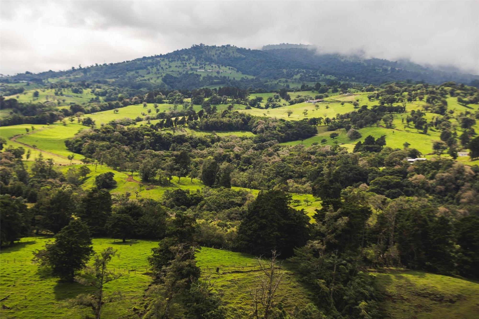 Hyatt Centric San Jose Escazu Otel Dış mekan fotoğraf